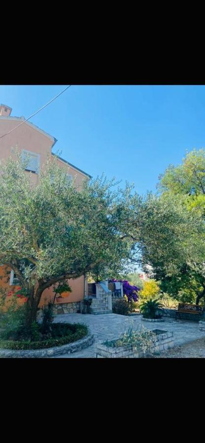 Apartman Nauplie Zadar Eksteriør bilde